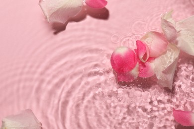 Photo of Beautiful rose petals in water on pink background, top view. Space for text