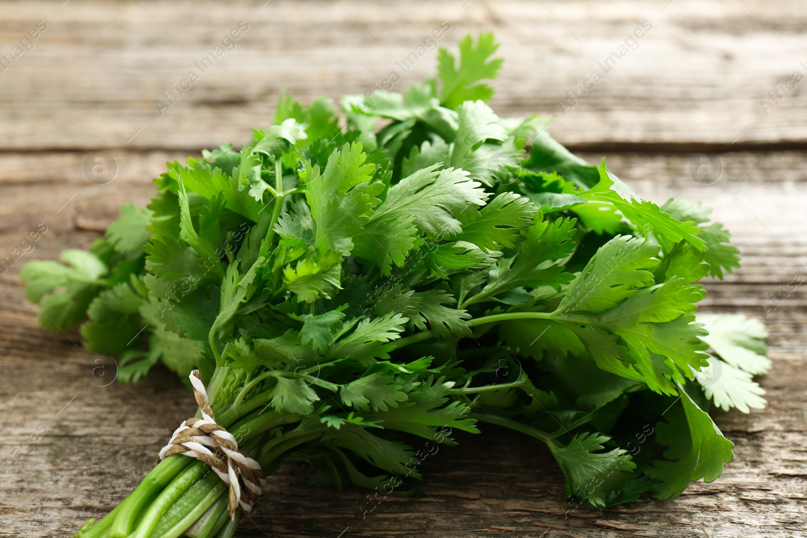 Photo of Bunch of fresh coriander on wooden table, closeup