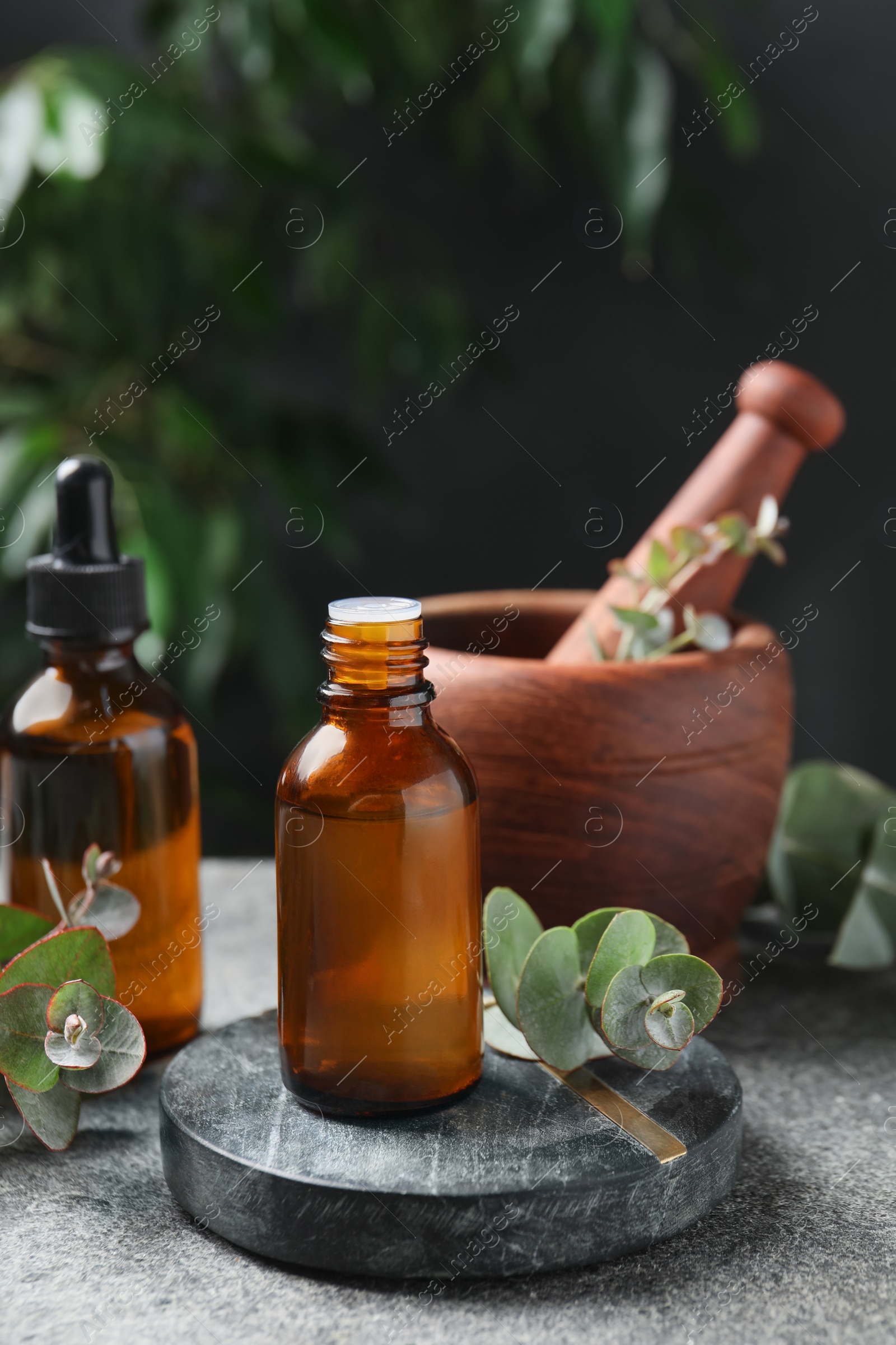 Photo of Bottles of eucalyptus essential oil, leaves and mortar on light grey table