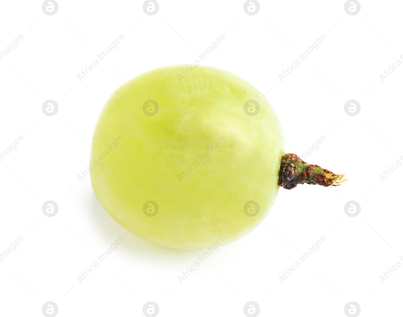 Photo of Fresh ripe juicy green grape isolated on white