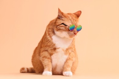 Cute ginger cat in stylish sunglasses on beige background