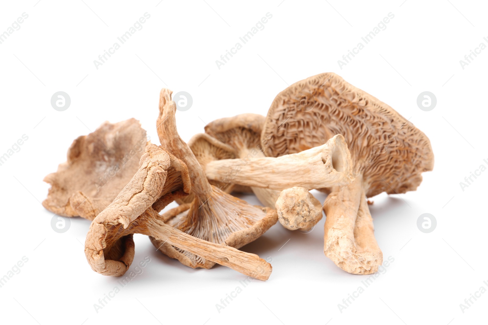 Photo of Delicious organic dried mushrooms on white background