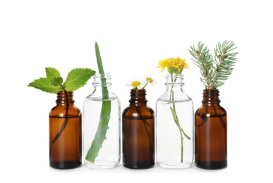 Photo of Glass bottles of different essential oils with plants on white background