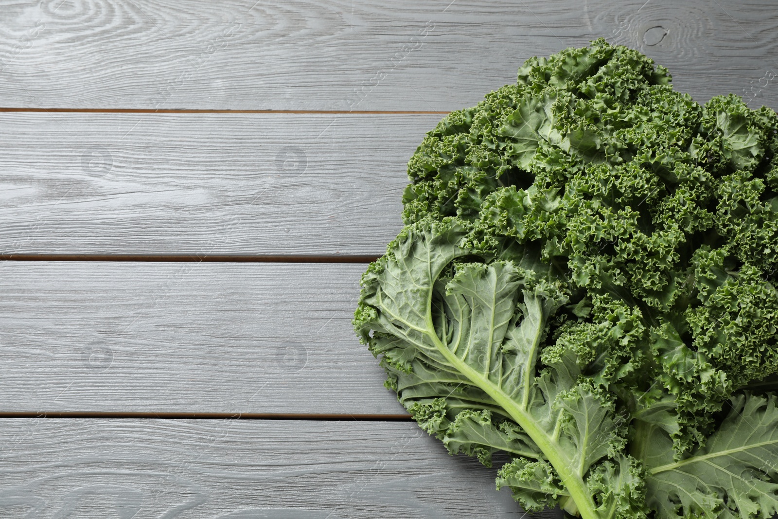 Photo of Fresh kale leaves on light grey wooden table, top view. Space for text