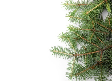 Photo of Branches of Christmas tree on white background