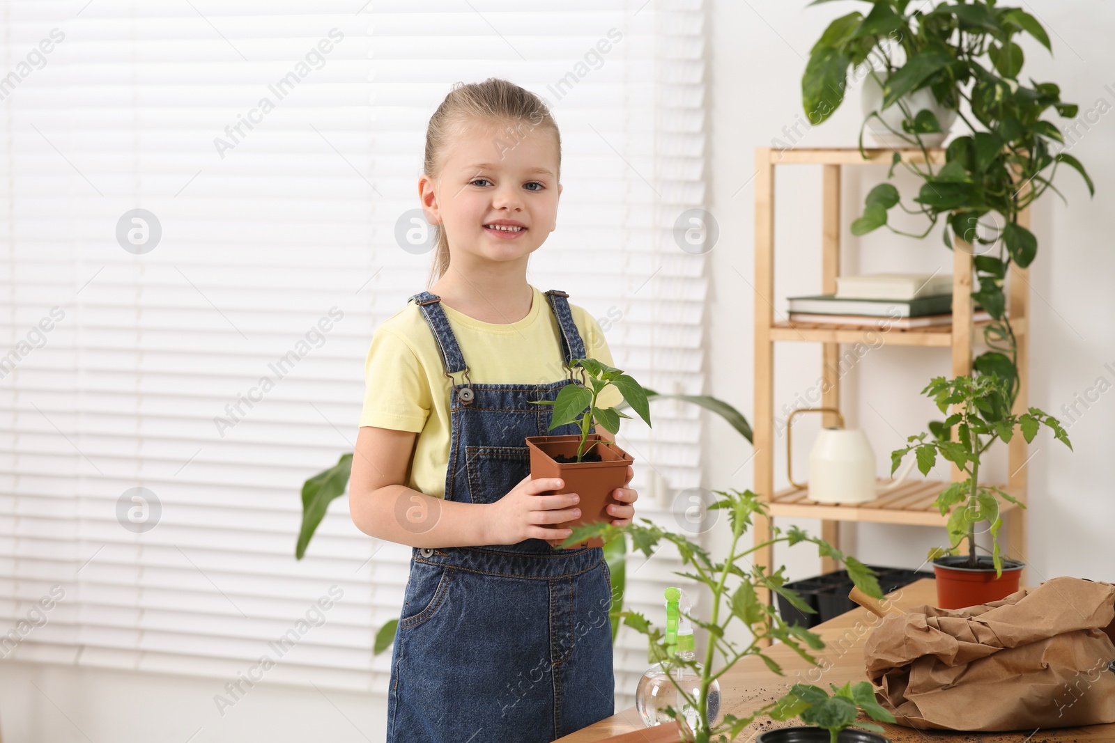 Photo of Planting seedlings. Cute little girl with green plant in room