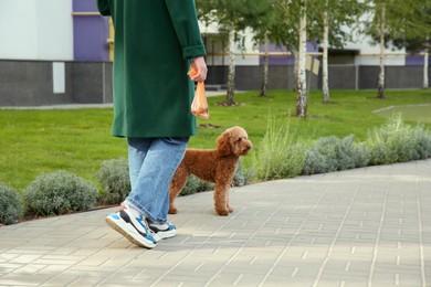 Photo of Woman with waste bag walking her cute dog in park, closeup