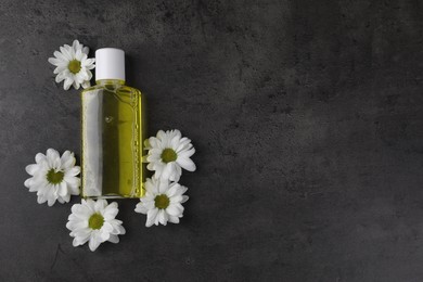 Photo of Fresh mouthwash in bottle and flowers on dark textured table, top view. Space for text