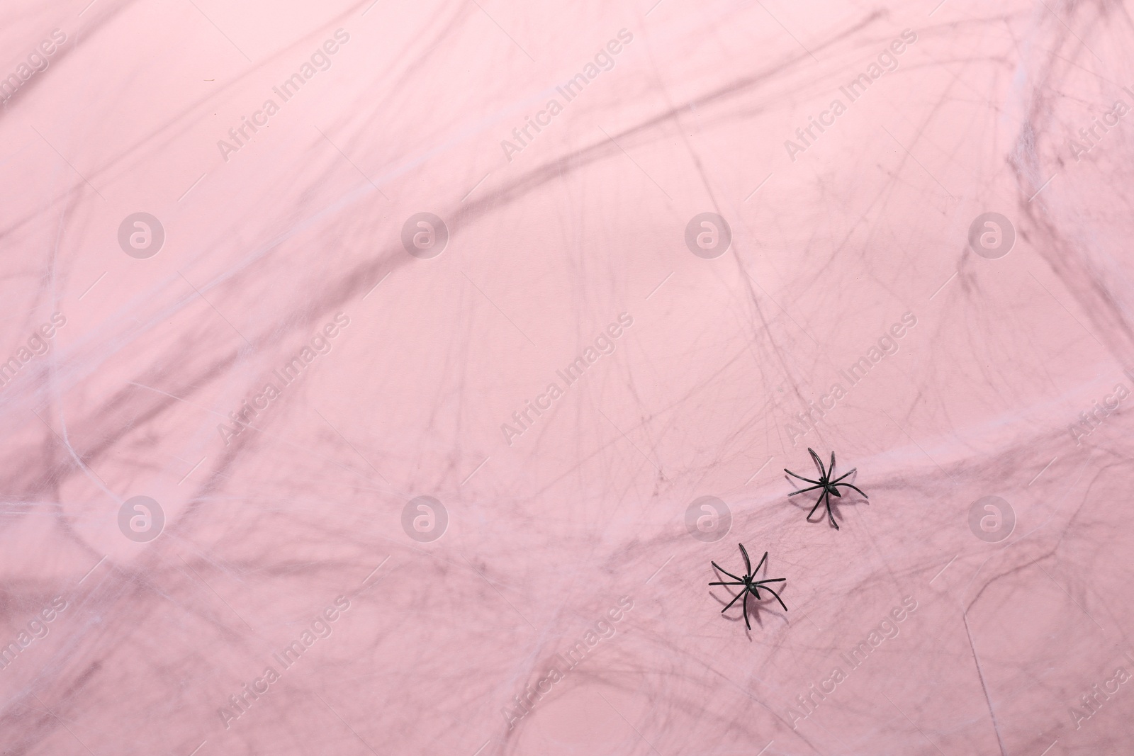 Photo of Cobweb and spiders on pink background, top view