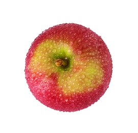 One ripe red apple with water drops isolated on white, top view