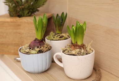 Photo of Beautiful potted hyacinth flowers on wooden table