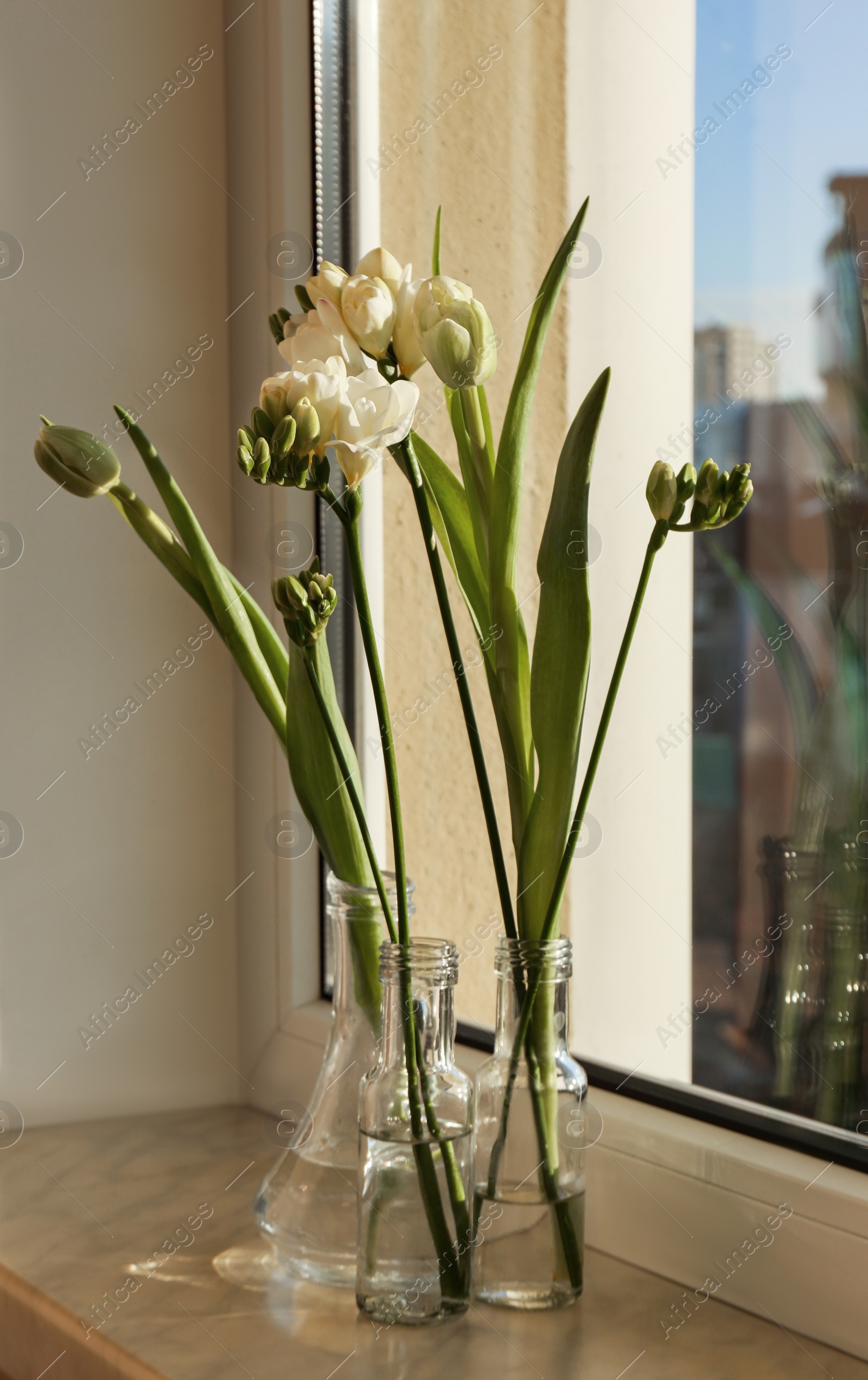 Photo of Different beautiful spring flowers on windowsill indoors