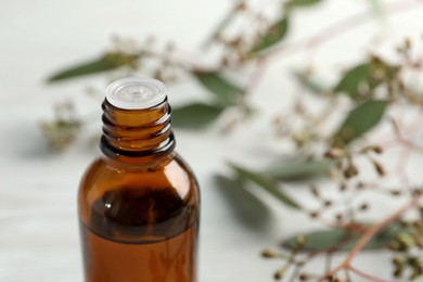 Bottle of eucalyptus essential oil and leaves on white wooden table, closeup. Space for text