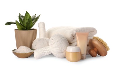 Beautiful spa composition with different care products and potted plant on white background