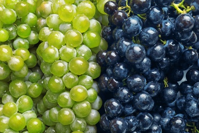 Photo of Fresh ripe juicy grapes with water drops as background, top view