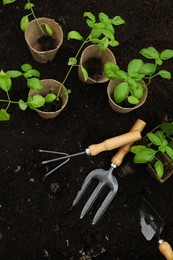 Photo of Seedlings in containers and gardening tools on ground outdoors, flat lay