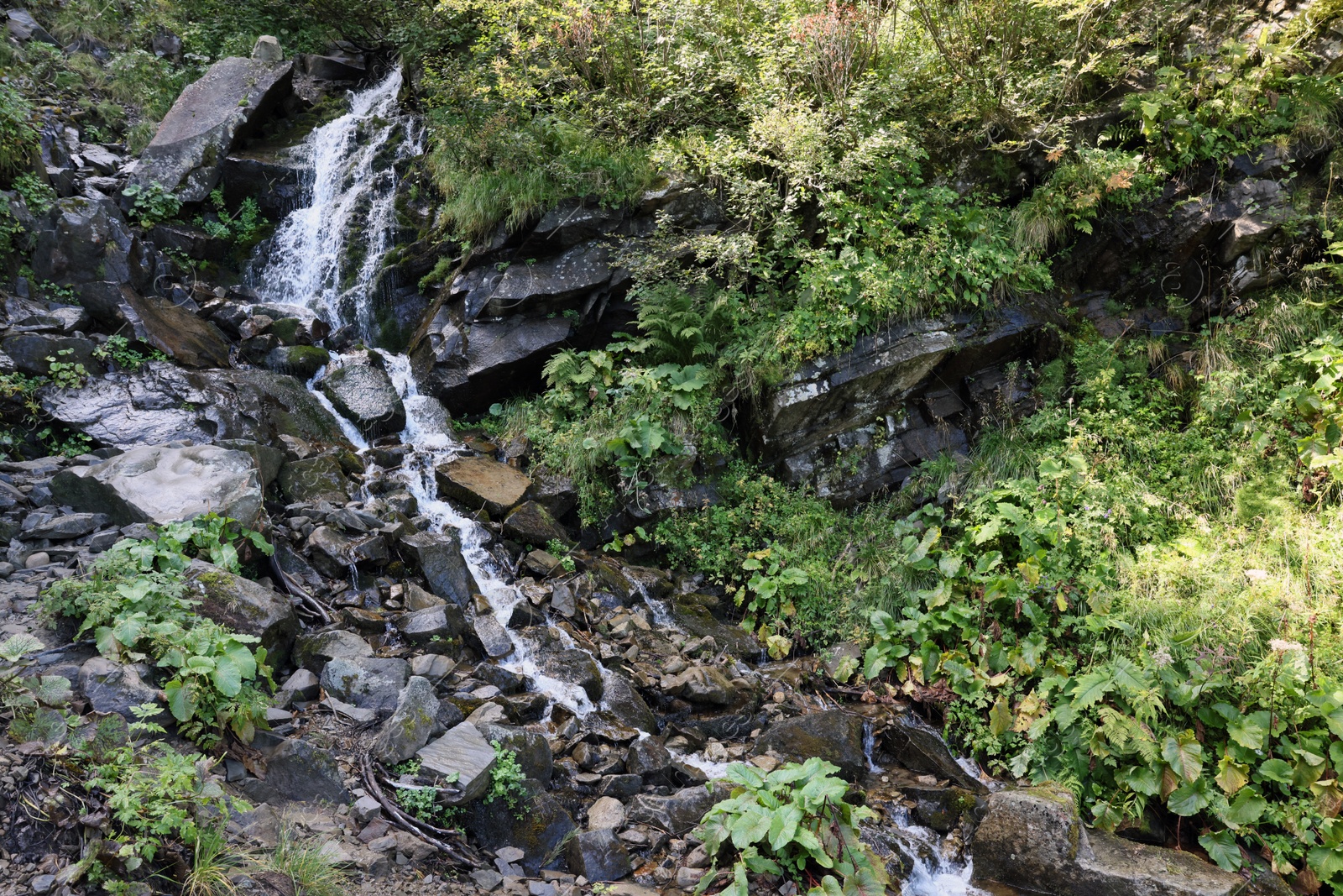 Photo of Picturesque view of mountain waterfall and green plants