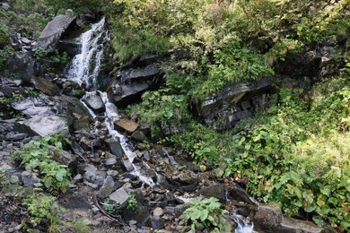 Photo of Picturesque view of mountain waterfall and green plants