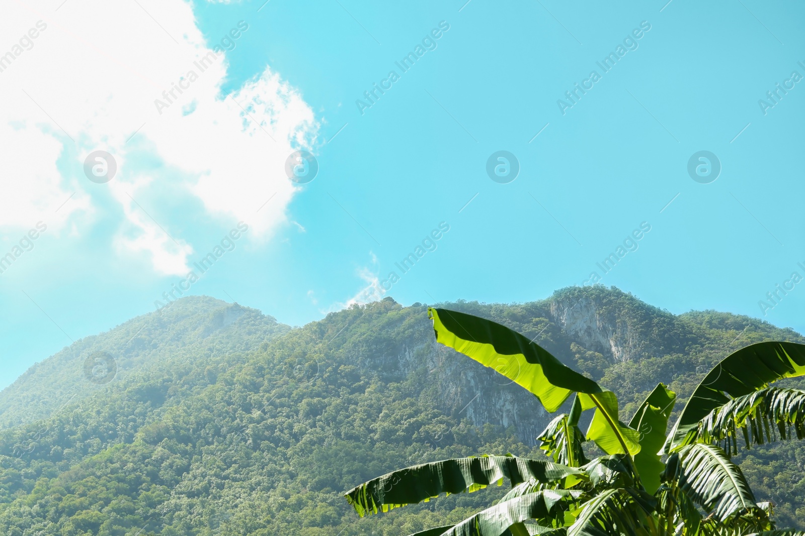 Photo of Picturesque view of beautiful mountains and forest