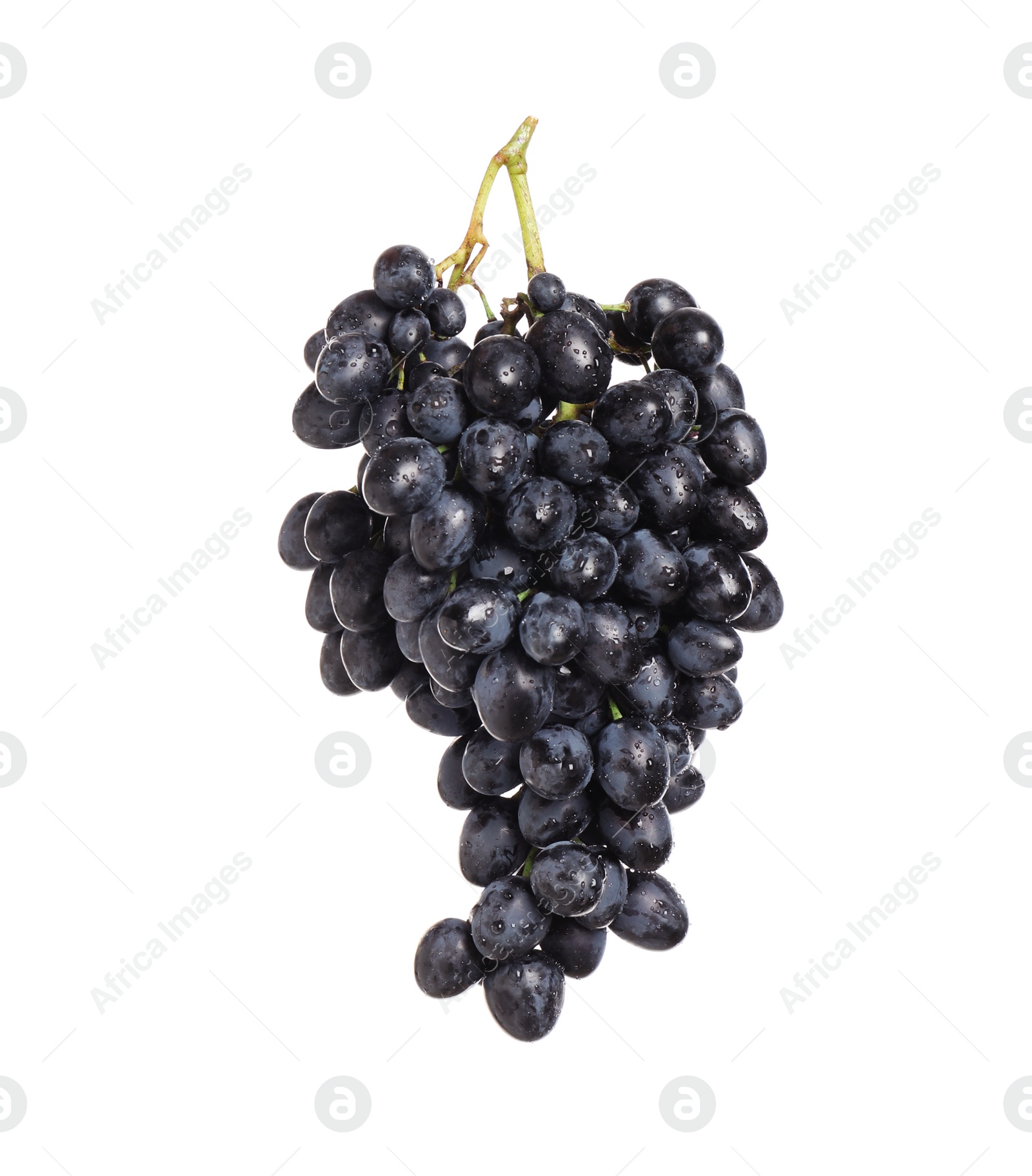 Photo of Bunch of fresh ripe juicy dark blue grapes isolated on white