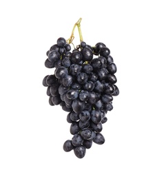 Bunch of fresh ripe juicy dark blue grapes isolated on white