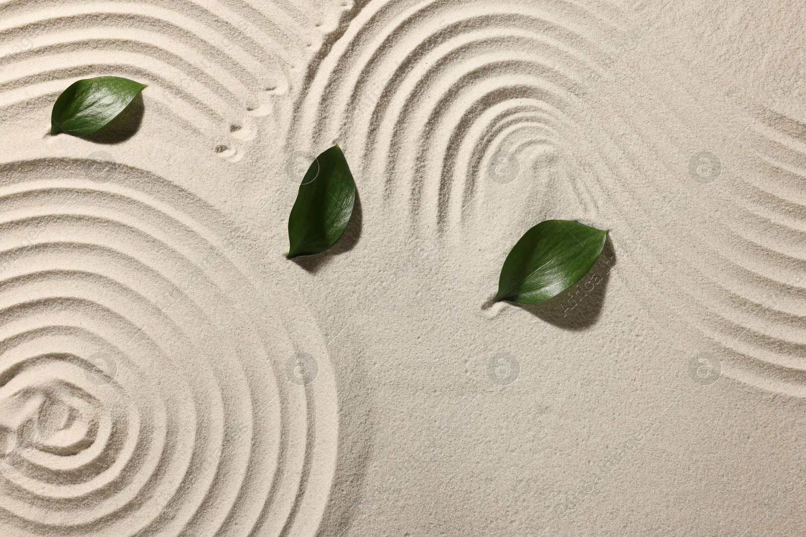 Photo of Beautiful patterns and leaves on sand, top view. Zen garden