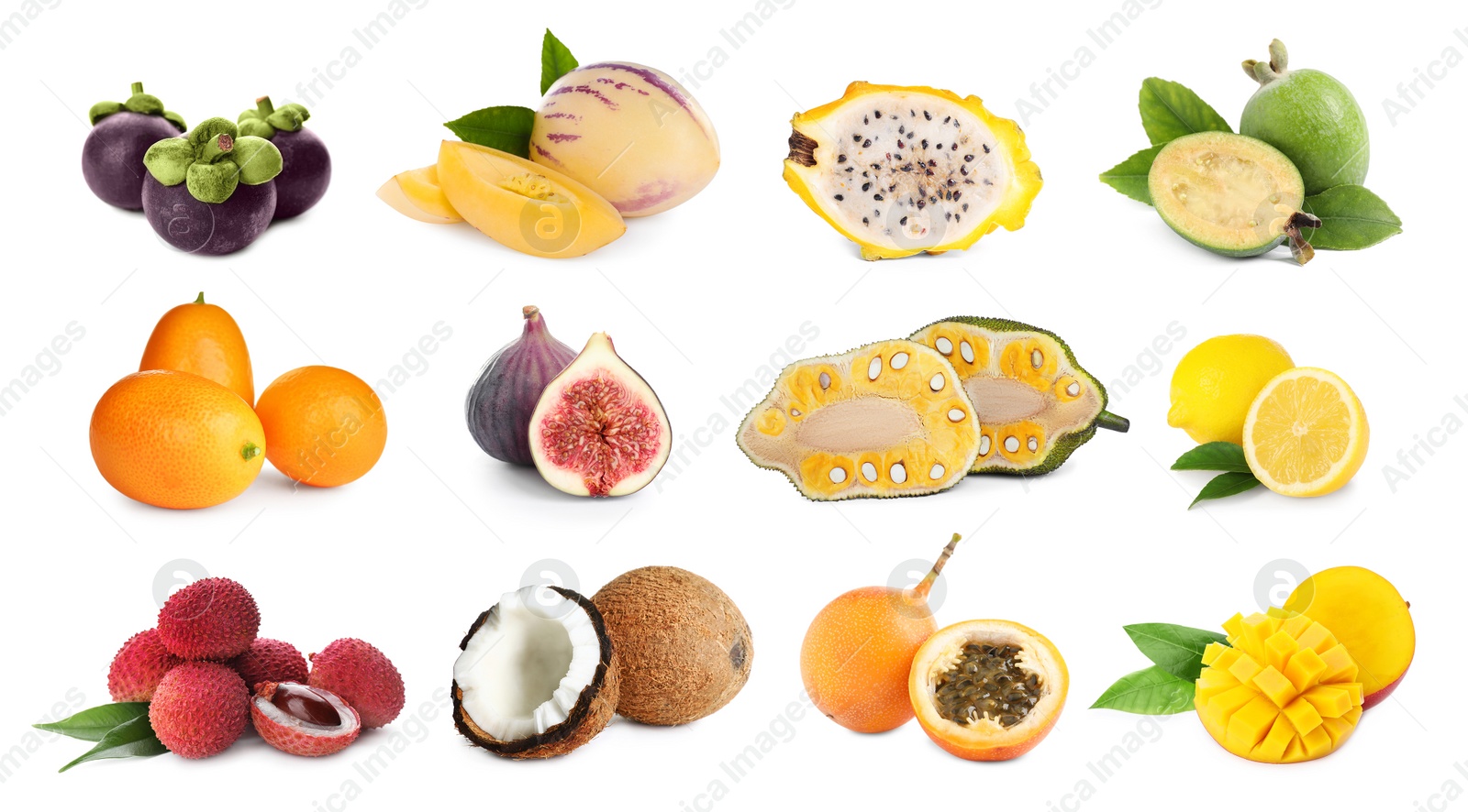 Image of Set with different tasty exotic fruits on white background