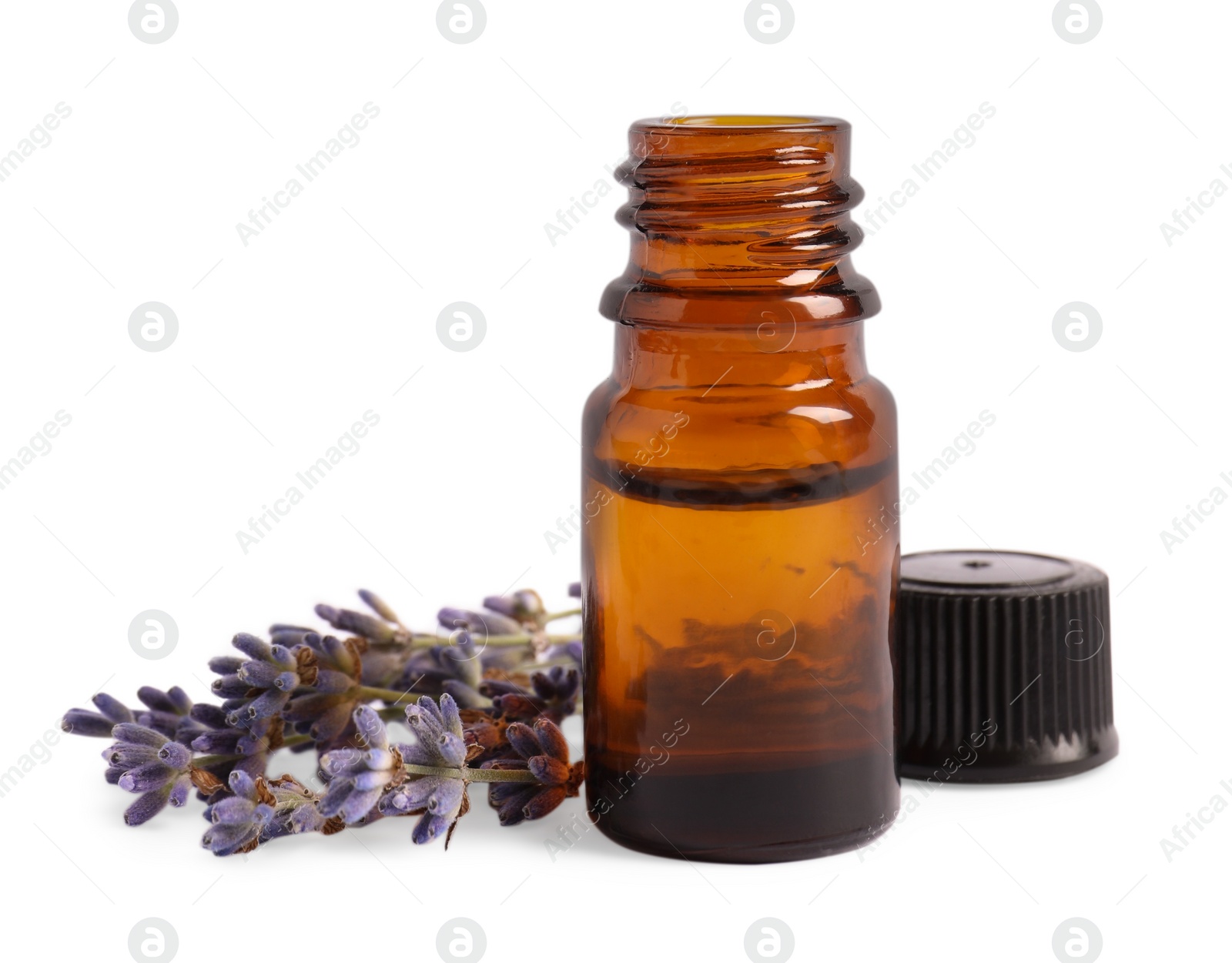 Photo of Bottle of essential oil and lavender flowers on white background