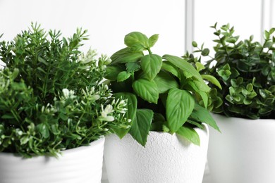 Photo of Different artificial potted herbs near white wall, closeup