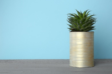 Beautiful echeveria plant in tin can on grey wooden table. Space for text