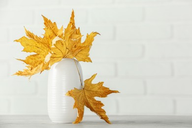 Photo of Beautiful autumn leaves in vase on table against white background, space for text