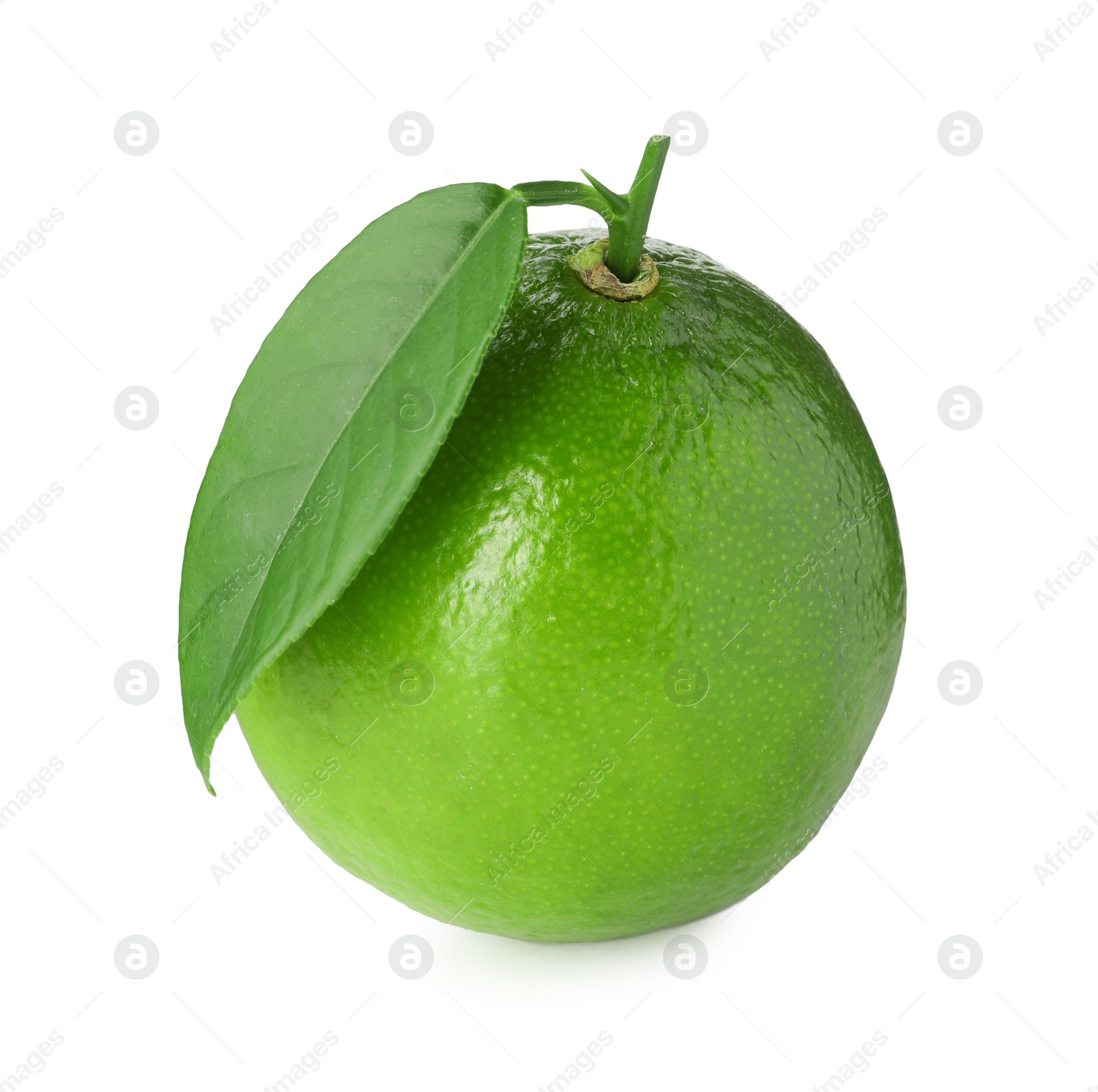 Photo of Fresh green ripe lime with leaf isolated on white