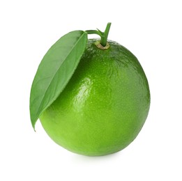 Photo of Fresh green ripe lime with leaf isolated on white