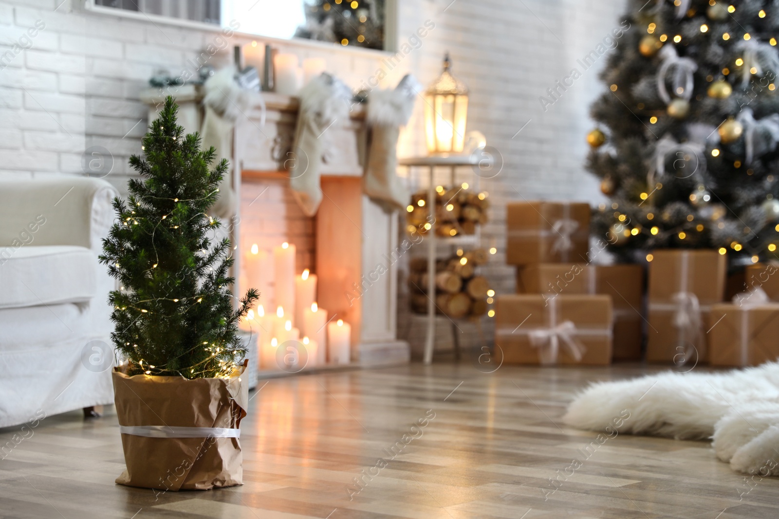 Photo of Potted Christmas tree with fairy lights in stylish room interior