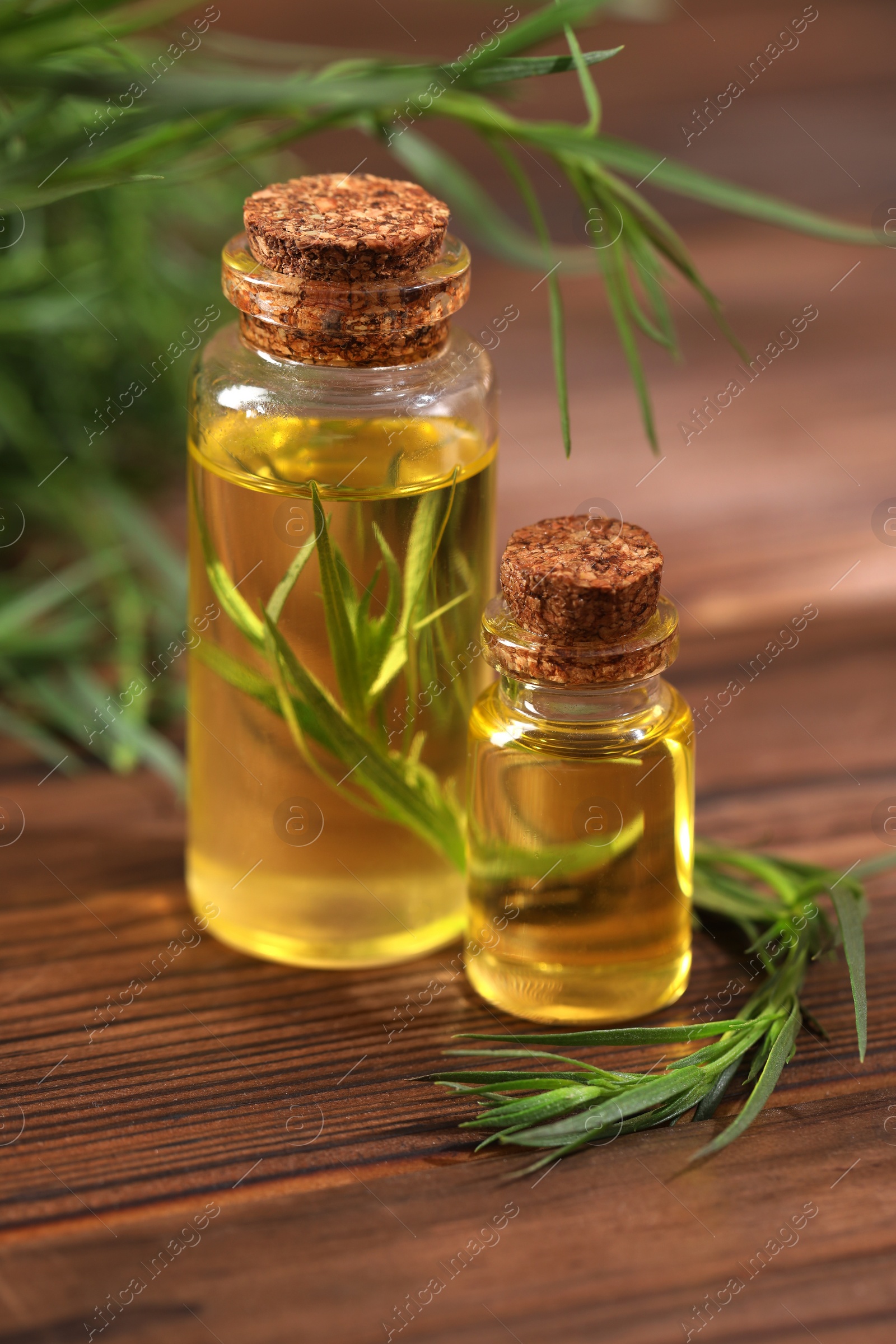 Photo of Bottles of essential oil and fresh tarragon leaves on wooden table