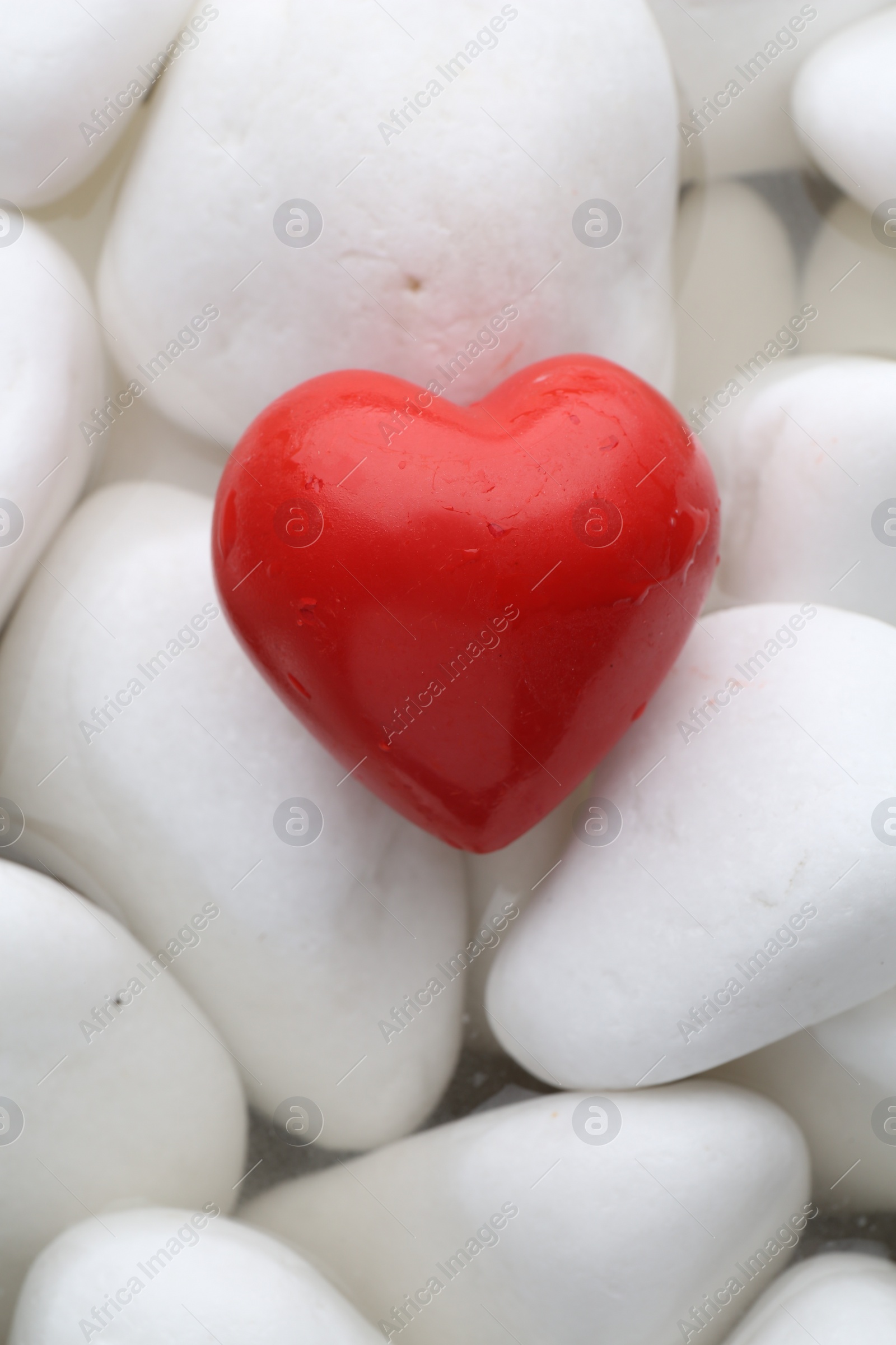 Photo of Red decorative heart on stones and water, top view