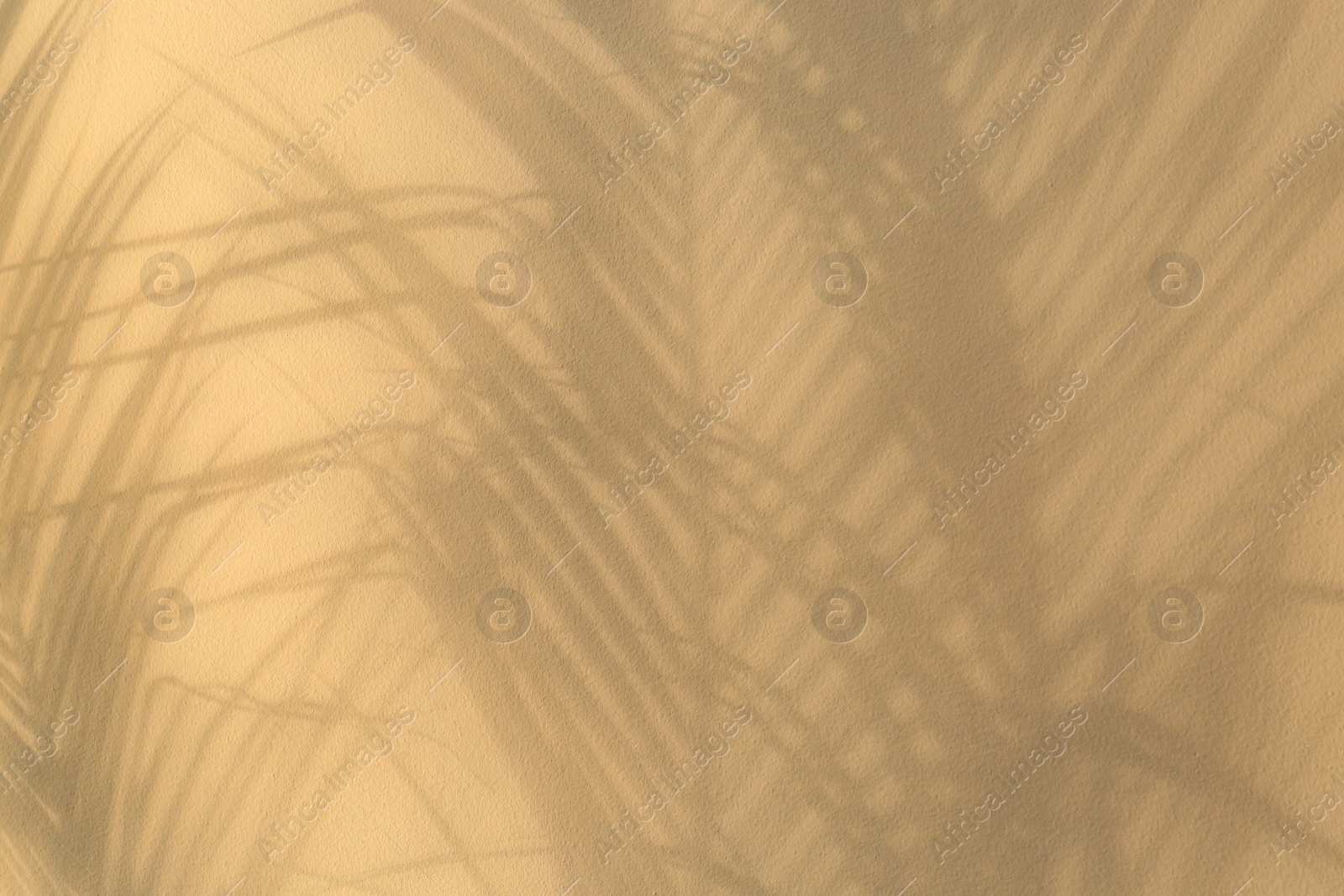 Photo of Shadows of tropical palm leaves on beige background