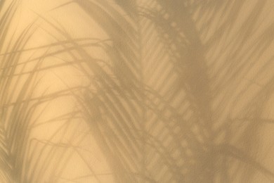 Shadows of tropical palm leaves on beige background