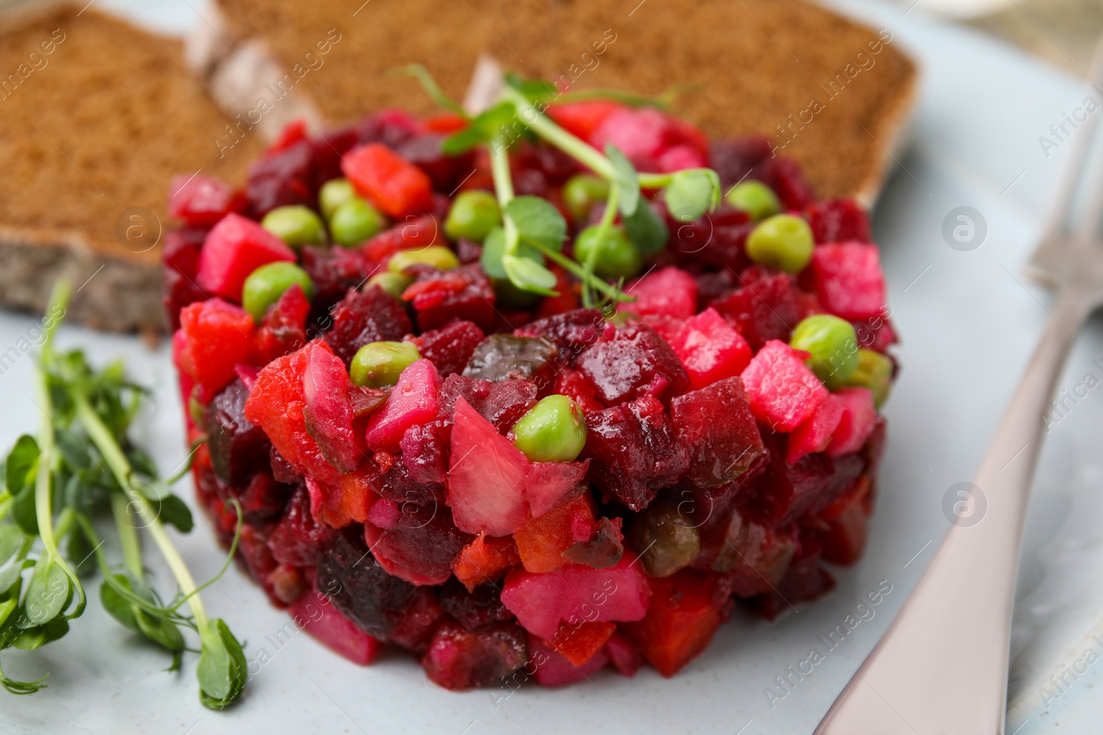 Photo of Delicious vinaigrette salad with slices of bread on white plate, closeup