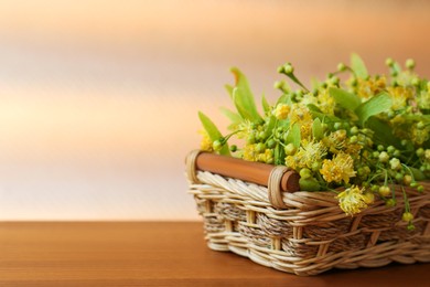 Photo of Beautiful linden blossoms and green leaves in wicker basket on wooden table, space for text