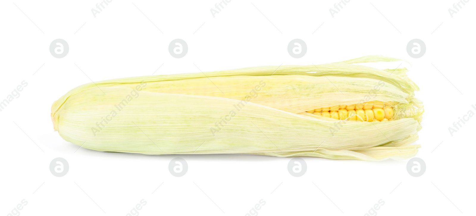 Photo of Ripe raw corn cob with husk isolated on white