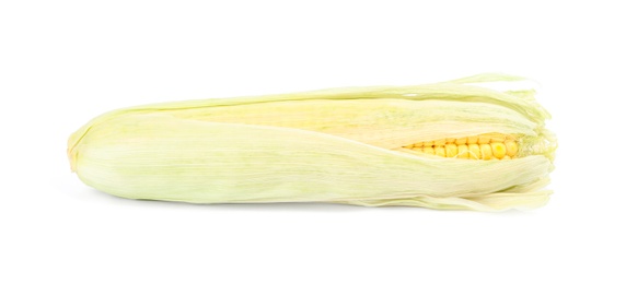 Photo of Ripe raw corn cob with husk isolated on white