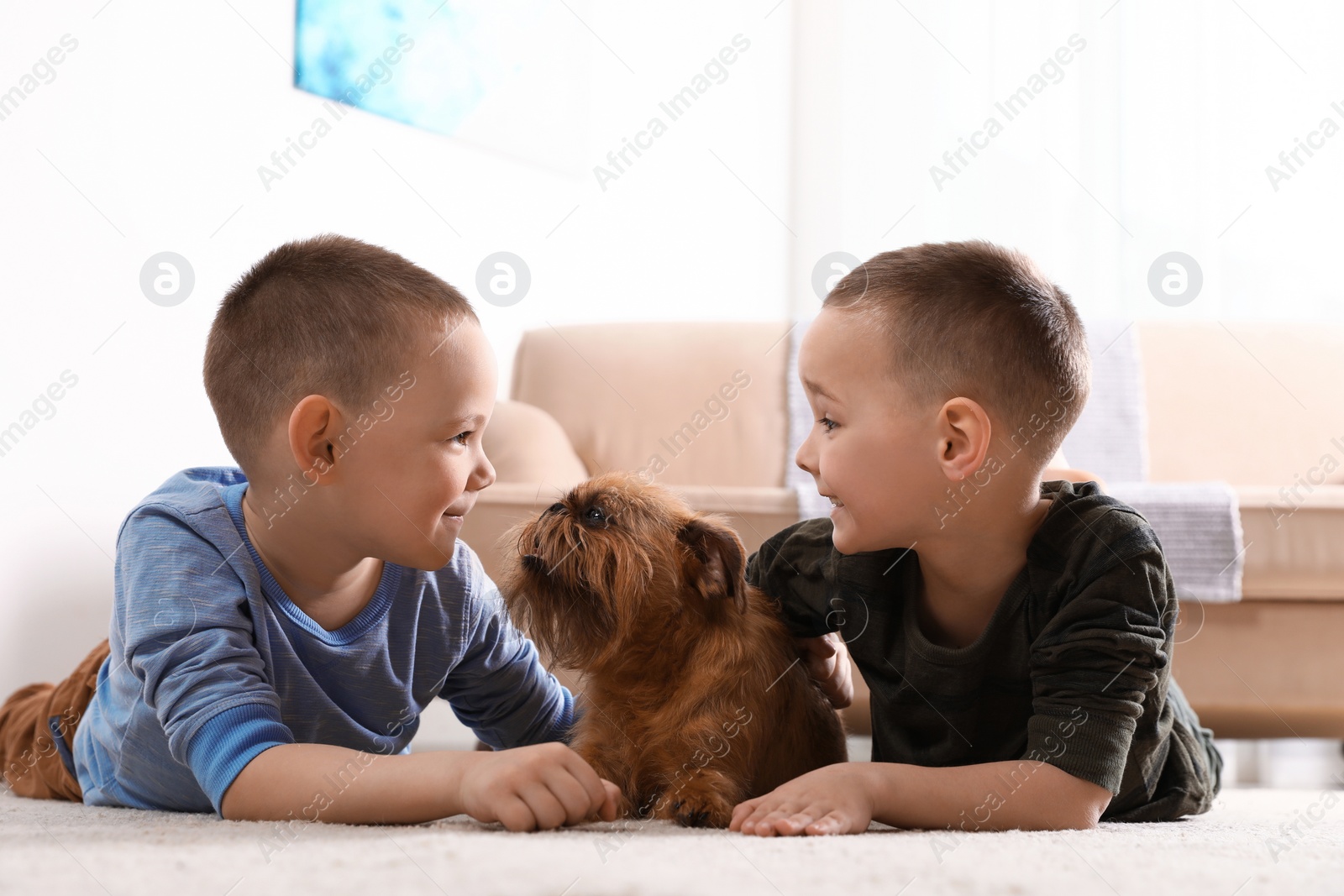 Photo of Portrait of cute boys with funny Brussels Griffon dog at home. Loyal friends