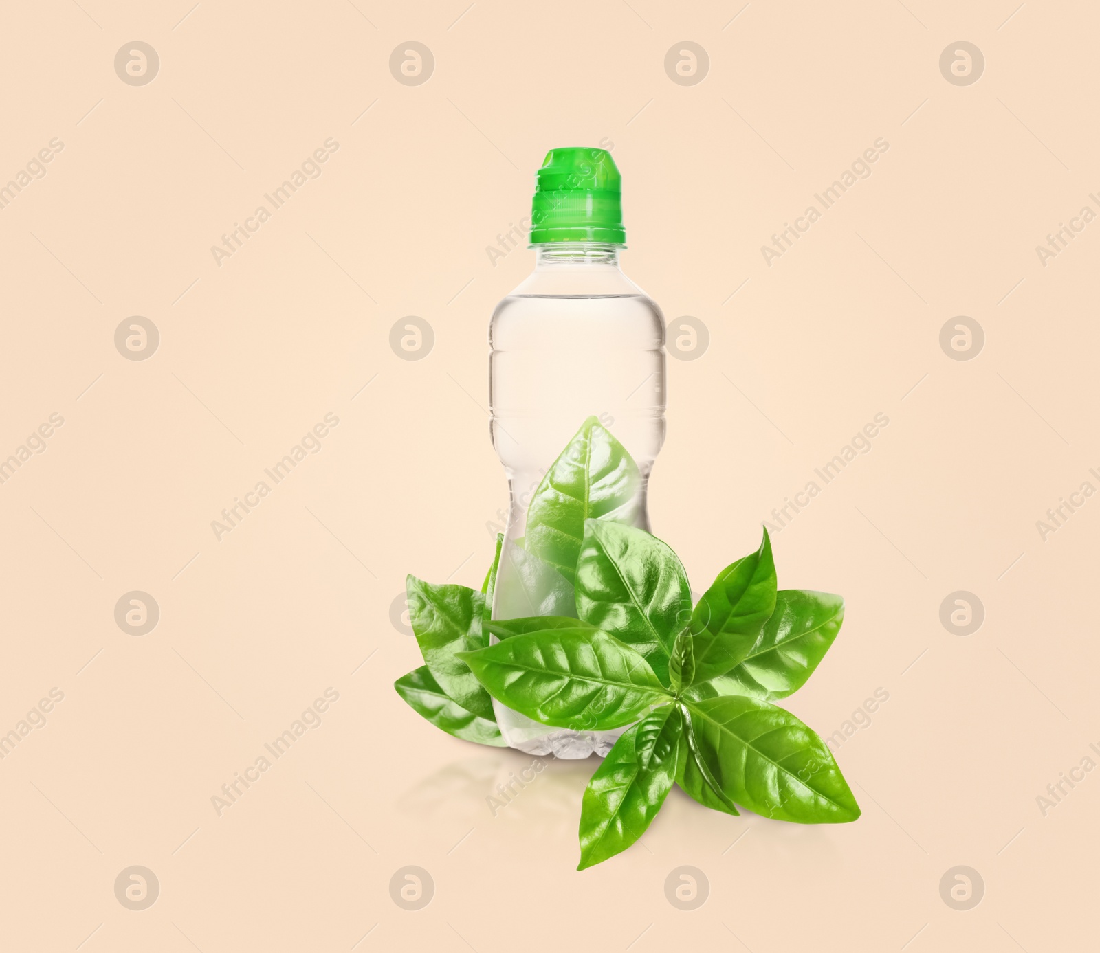 Image of Bottle made of biodegradable plastic and green leaves on beige background