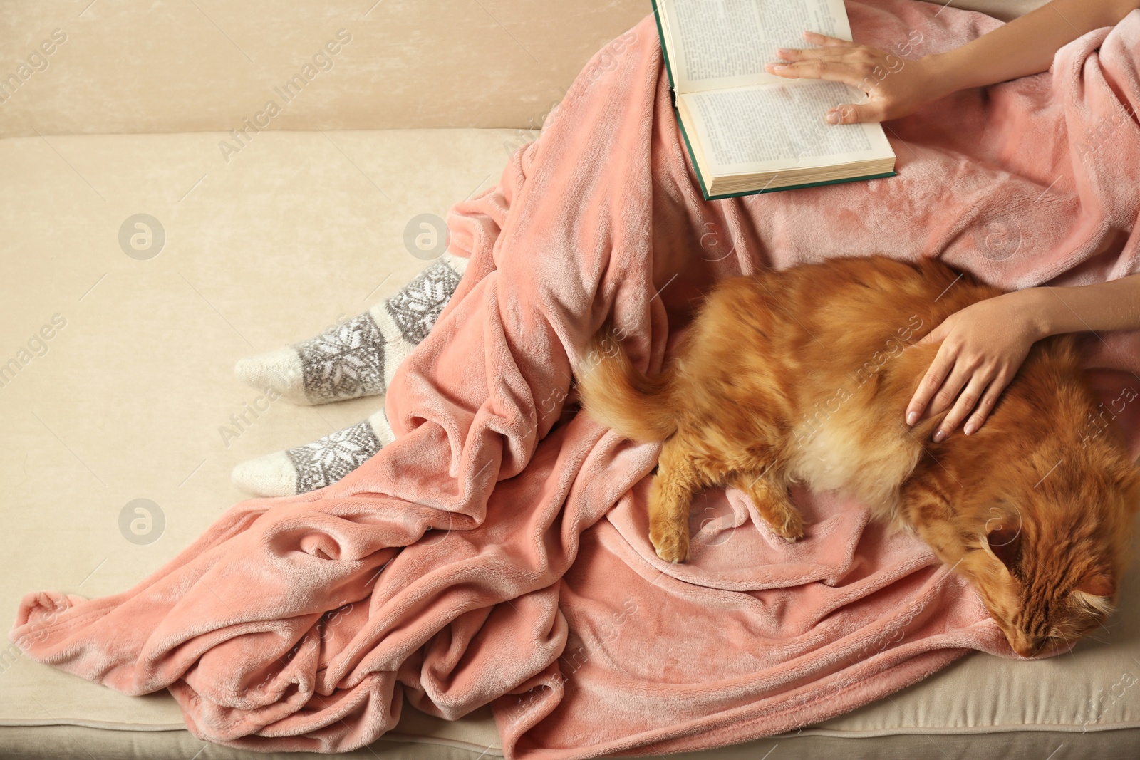 Photo of Woman with cute red cat and book on sofa at home, closeup view. Space for text