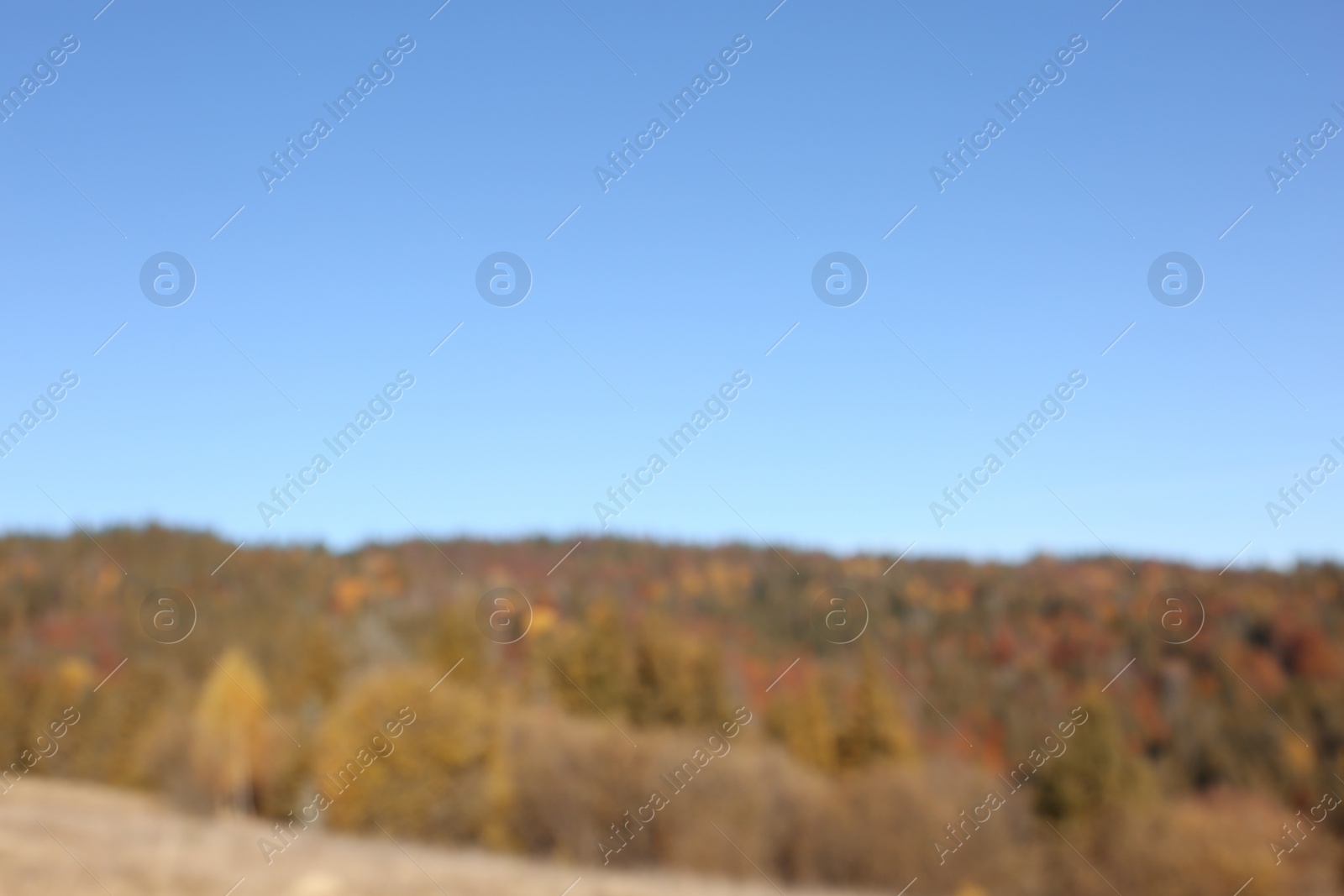 Photo of Picturesque landscape with beautiful forest and mountains, blurred view