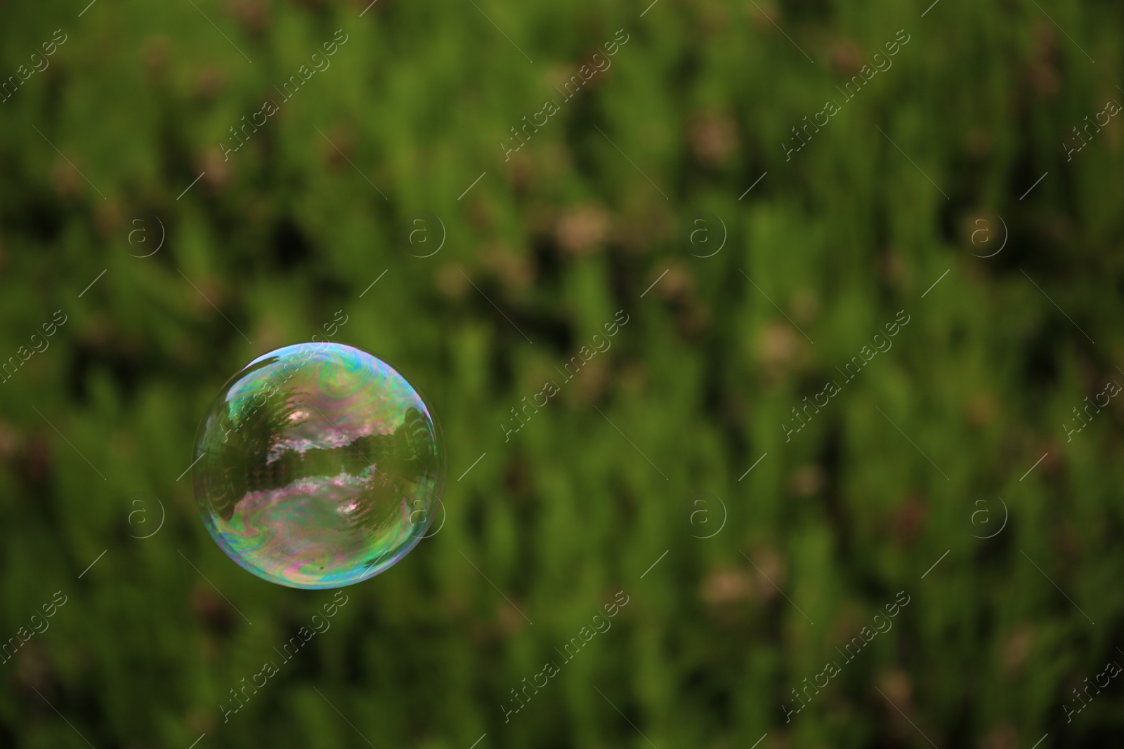 Photo of Beautiful soap bubble floating outdoors. Space for text