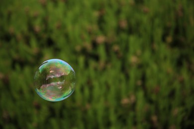 Photo of Beautiful soap bubble floating outdoors. Space for text