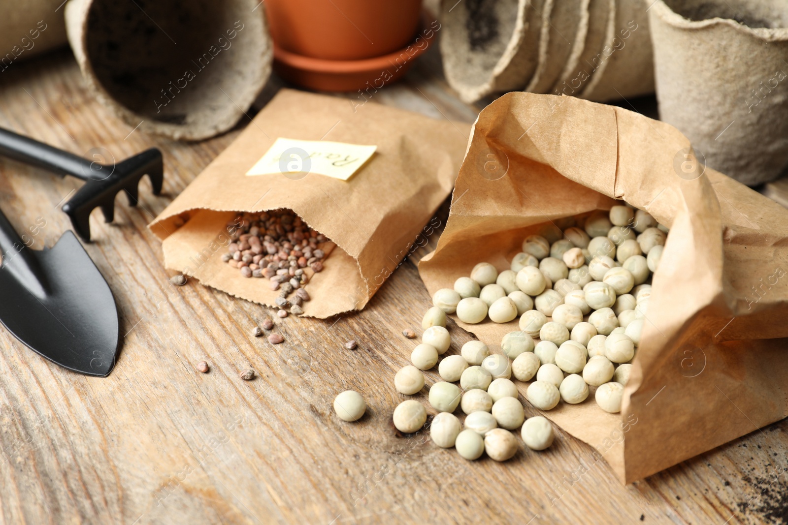 Photo of Vegetable seeds and gardening equipment on wooden table