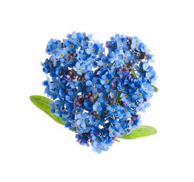 Photo of Heart made with blue Forget-me-not flowers isolated on white